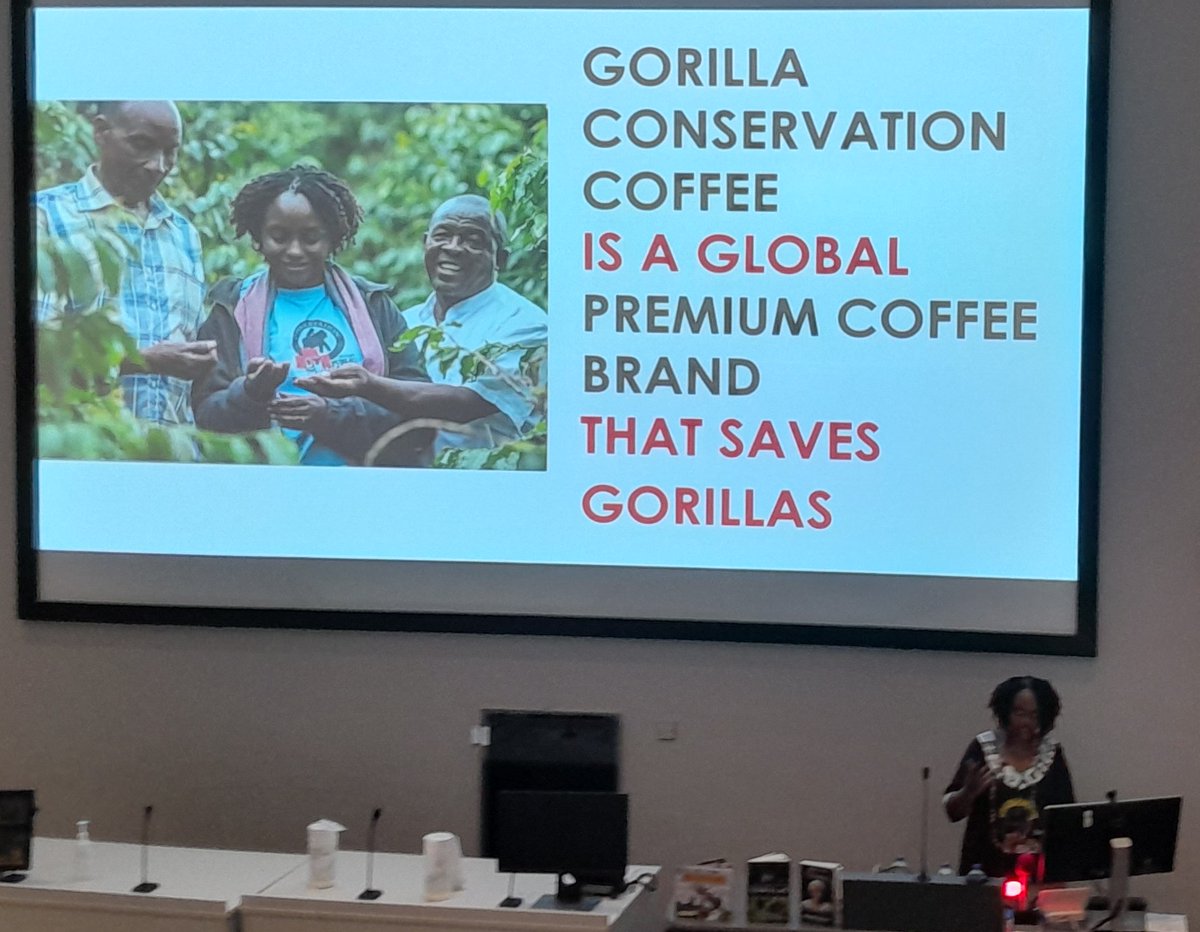 Ben Jones　城雲図・勉 tweet media