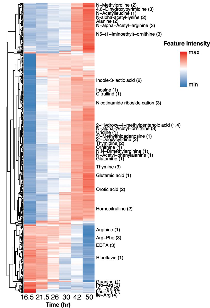 PLOSBiology's tweet photo. Bacterial #metabolism is important for human health, but most research relies on a few model organisms. @PTurnbaugh &amp;co used a systems biology approach to explore the unusual metabolism of the disease-linked gut bacterium Eggerthella lenta. #microbiology
https://t.co/K08Kqhxi8N https://t.co/AVMxMMFjVX