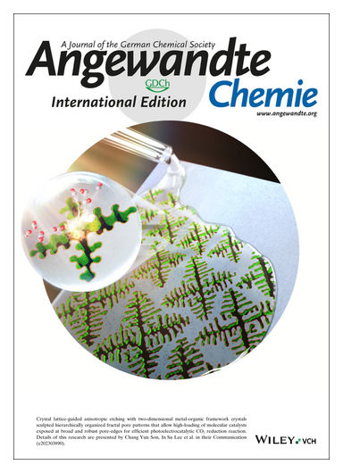 angew_chem's tweet photo. #OnTheCover Sculpting In-plane Fractal Porous Patterns in Two-Dimensional MOF Nanocrystals for Photoelectrocatalytic CO2 Reduction (In Su Lee and co-workers) https://t.co/JNe5o1R8fW @InSuLee5 https://t.co/8JIkvNx5KP