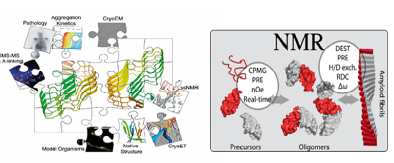 📷  📷

📷

Closing date midnight on 24 May!
Research Fellow in Biological NMR/Biophysics, Astbury Centre for Structural Molecular Biology/School of Molecular &amp; Cell Biology

jobs.leeds.ac.uk/vacancy.aspx?r…

Please email s.e.radford@leeds.ac.uk for informal discussion