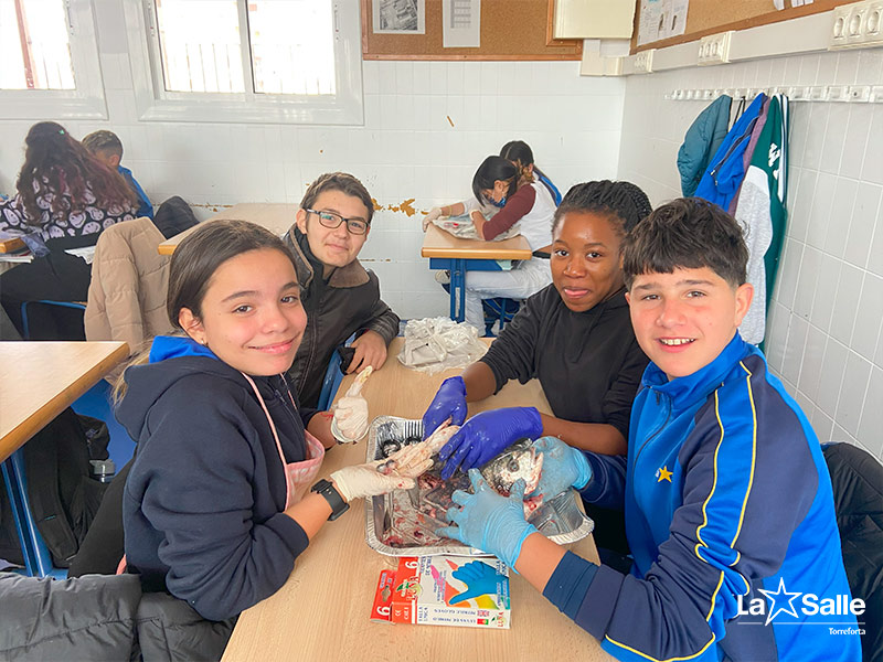 LaSalleTforta's tweet image. 🐟 Fa unes setmanes, l'alumnat de 1rESO van realitzar una dissecció d'un peix ossi per finalitzar el tema dels vertebrats. Van poder observar la seva anatomia externa i també la seva morfologia interna (brànquies, cor, estómac…)✨
torreforta.lasalle.cat/disseccio-peix…  #peix #dissecció
