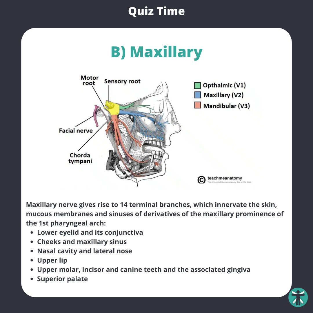TeachMeAnatomy on Twitter "Back at it with the Friday Quiz! Have a