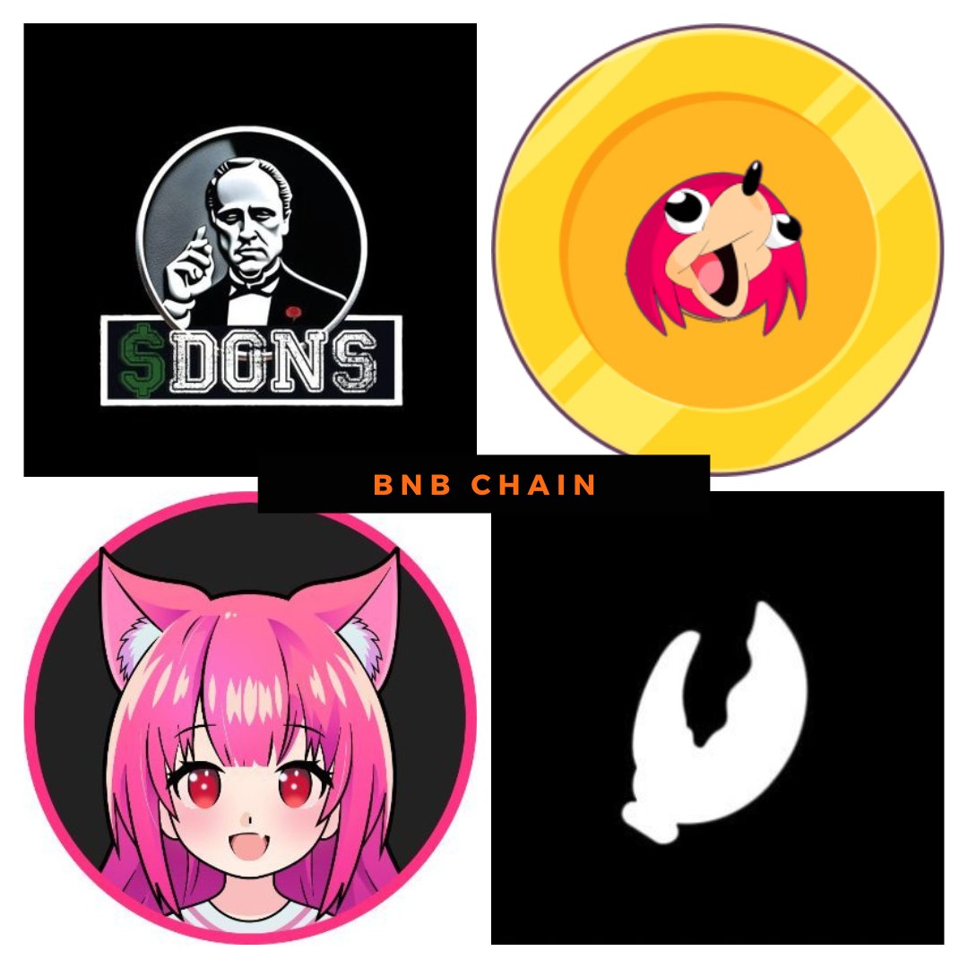 What are the #BSC chain latest #MeMe Projects i m looking into ?

1. $DONS - <a href="/TheDonsCoin/">The DONS</a> 
2. $DEWAE - <a href="/DEWAElol/">DEWAE</a> 
3. $HBAY - <a href="/haddiesbayclub/">Haddie’s Bay Club 🦞$HBAY on #BNBChain 🔸</a> 
4. #MuratiAI - <a href="/MuratiAI/">MuratiAI</a> 

#BNBChain #BNB #MemeCoinSeason #memecoins