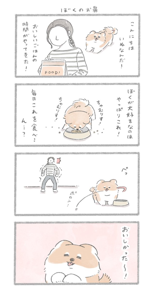 お薬をのみたくないいぬ #こんにちはいぬです