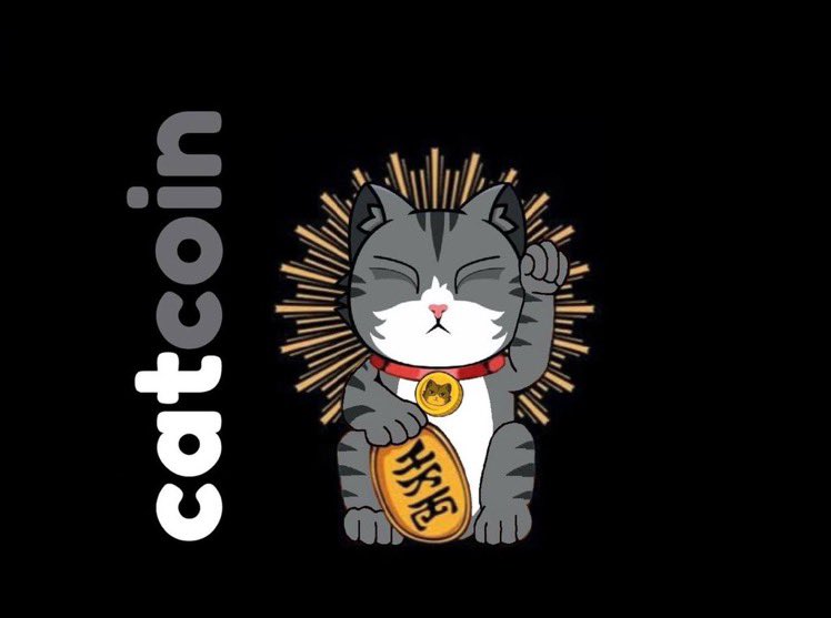 @bitforexcom @officialcatcoin would love to be on your exchange. Maybe one day we’ll get seen for what we are #Catcoin is inevitable 💯🫶🐈🙌