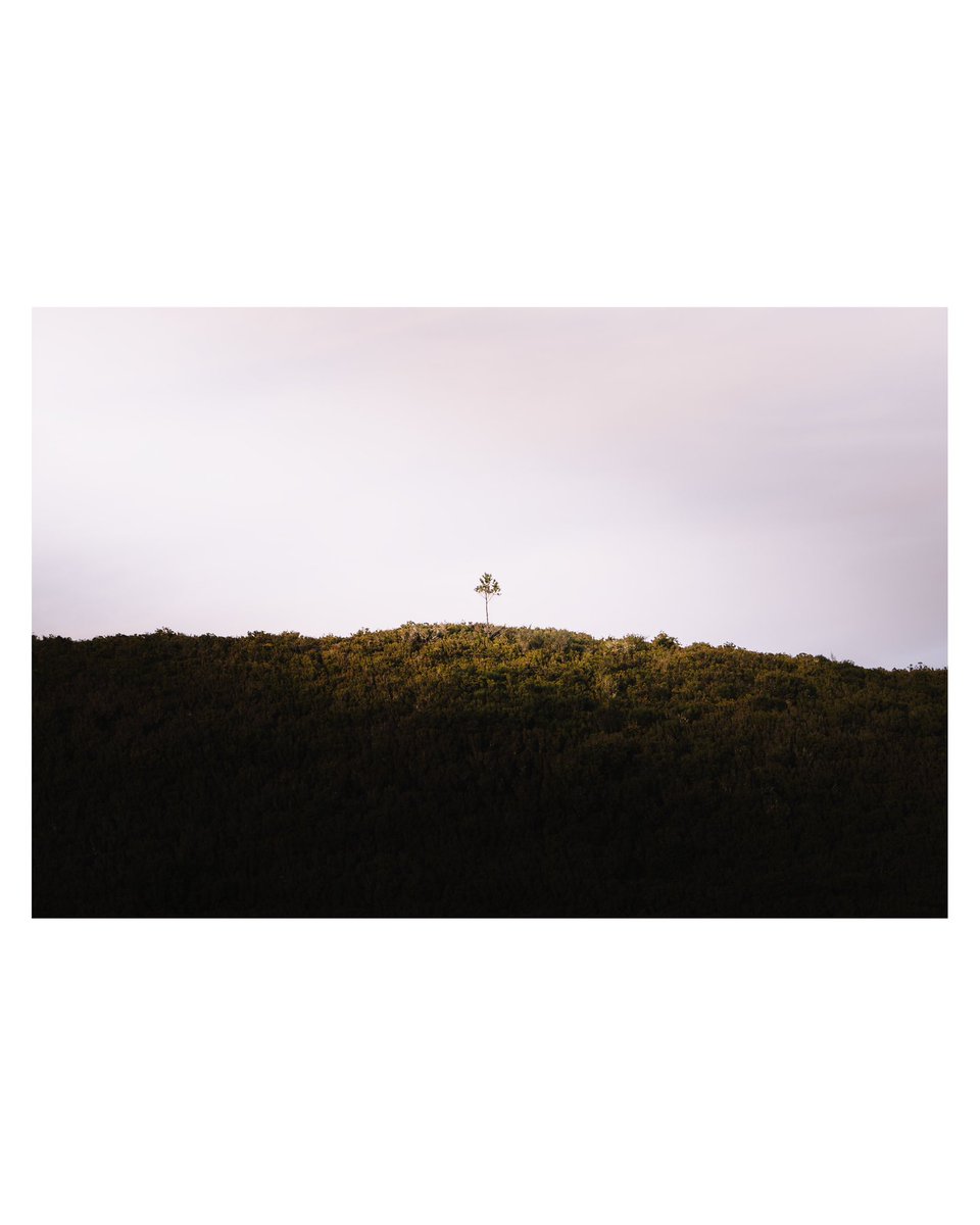 Spotting minimalism in nature is a beautiful thing but that I still struggle a lot with. Gotta give it time I guess. 🙏🏻

#lightroom #photoshop  #minimalistphotography #madeira #naturephotography #landscapephotography #landscapelovers #bealpha #visitmadeira #madeiraparadise