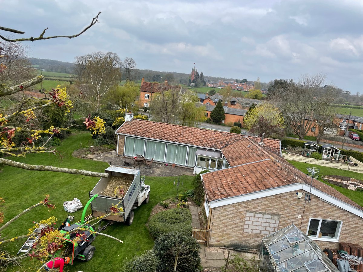 Office with a view! 25% reduction to the maple, repollard cherry tree and pollard to a small Willow tree.
All while over looking Princethorpe collage.
We even got tipped with homemade honey 
more@ arb-aid.co.uk
 #treesurgeon #arborist #landscape #coventry #warwickshire