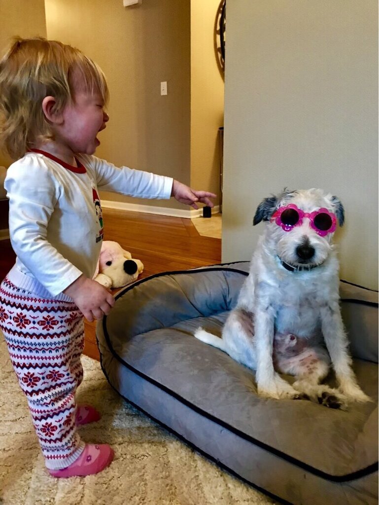 ShibeGallery's tweet photo. My wife just sent this to me with no context https://t.co/bX2xegQevi