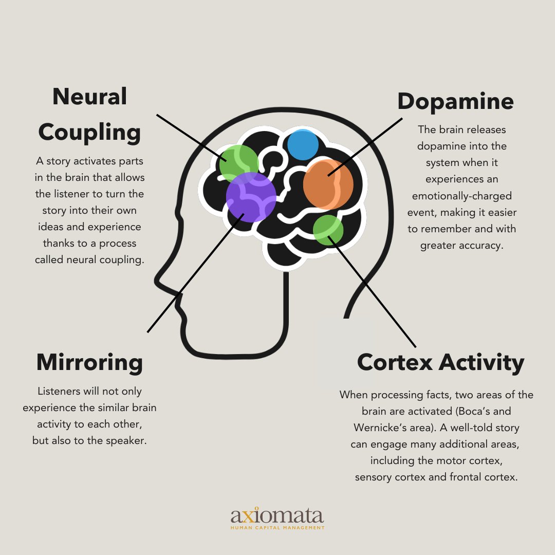 This is how storytelling affects the #brain &amp; why having good storytelling skills in the workplace as an organisational #leader is essential.

Contact us to improve your #storytelling skills &amp; present winning #pitches.

response@axiomata.uk
response@axiomata-usa.com