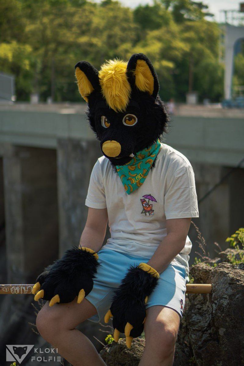 Days are getting warmer and sunier. Head out to beach 🏖️ or some trail hike! 🚶‍♀️

.. or just sit on railing and pose for photo. 😜

#furry #fursuit #FursuitEveryday