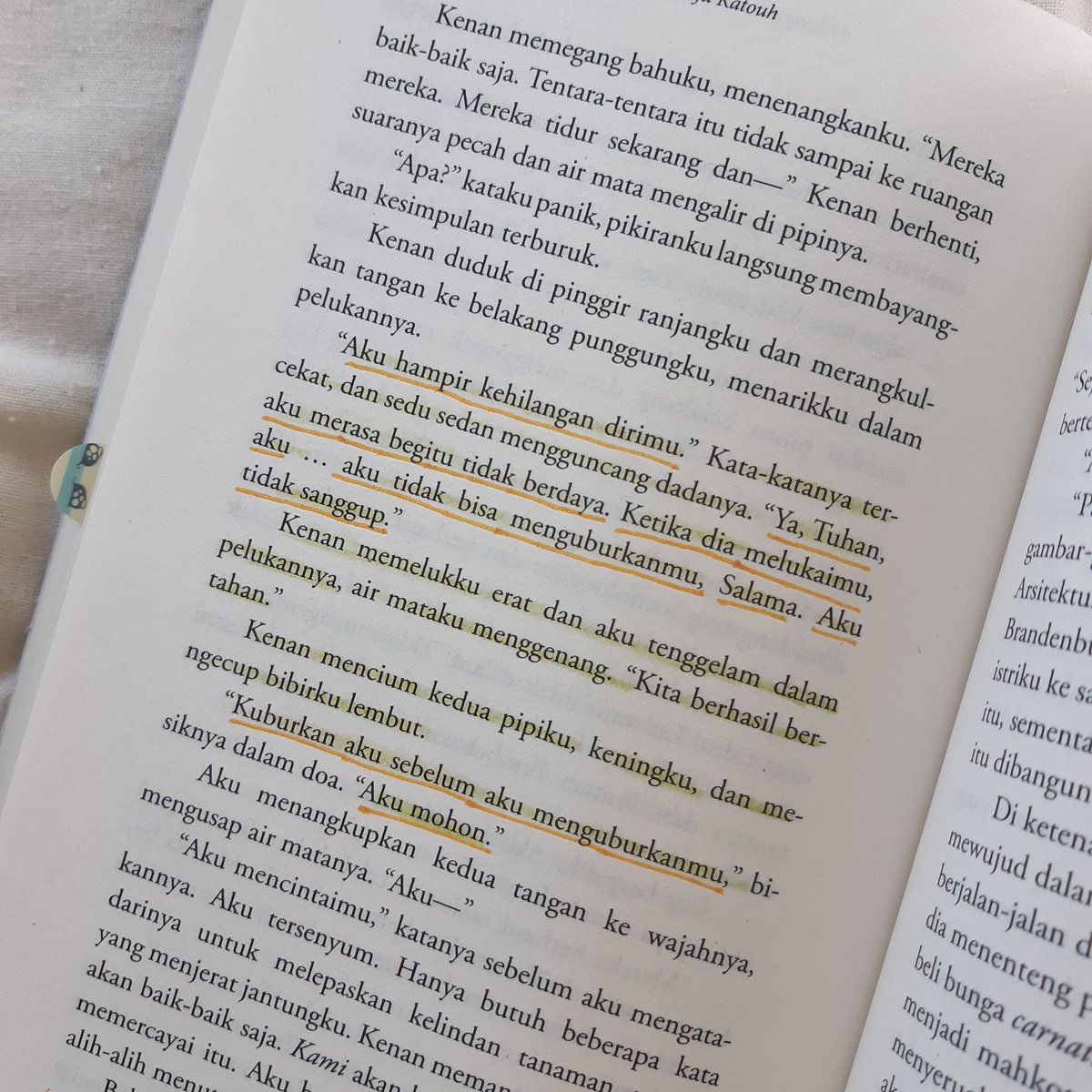 una on Twitter "some of my annotations from as long as the lemon trees