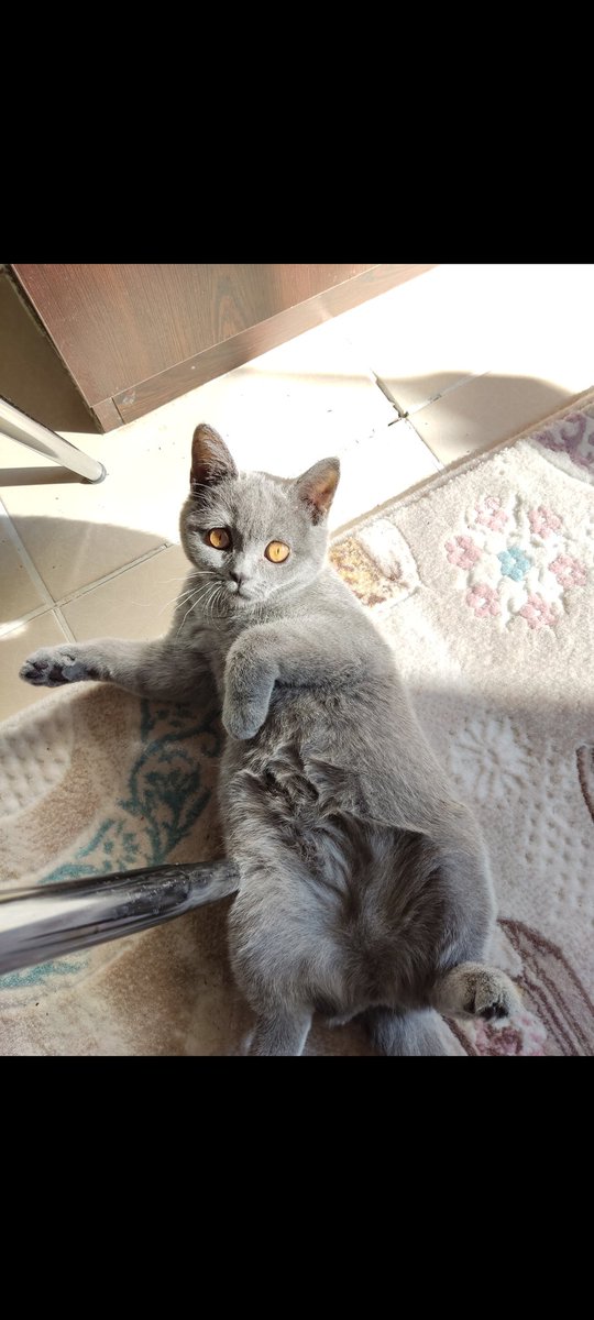 Good morning cute girls fam 🥰 we had a good time with honey's mom today 💜