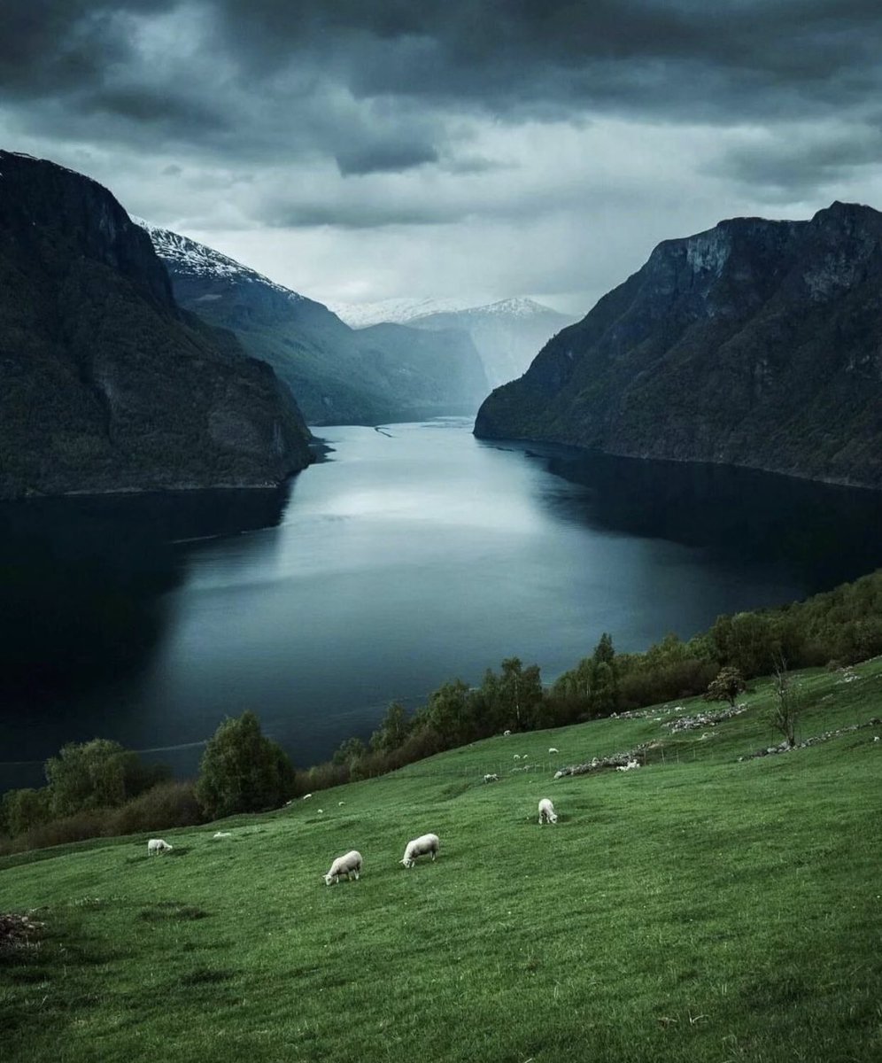 Norway 🇳🇴🇳🇴