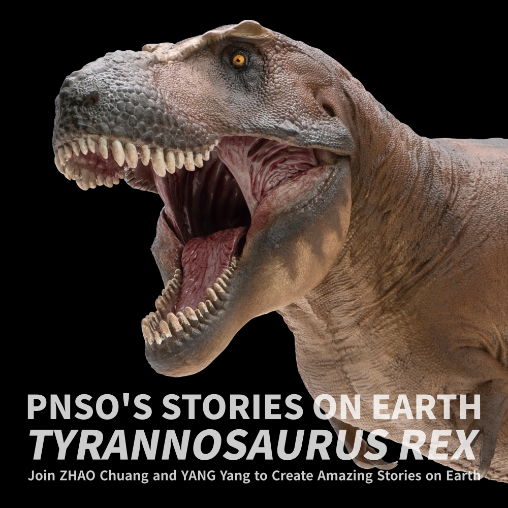Cameron was an outstanding leader of the T. rex herd and the father of Wilson the T. rex. Countless times, it had led the herd to fight for honor and survival, and its spirit had influenced generations of young T. rex. #pnso #dinosaurs