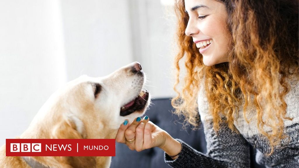 omarcanoc23's tweet photo. Qué enfermedades te pueden transmitir las mascotas y 5 consejos para evitarlas https://t.co/GGxCkybqXM https://t.co/33lBpdQbyo