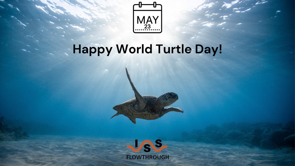 Happy World Turtle Day! Did you know that an estimated 1,000 turtles die every year from plastic entanglement? Our bubble barriers can help stop plastic pollution before it reaches our oceans.

#worldturtleday #turtles #seaturtle #oceanplastic #plasticpollution #bubblebarrier