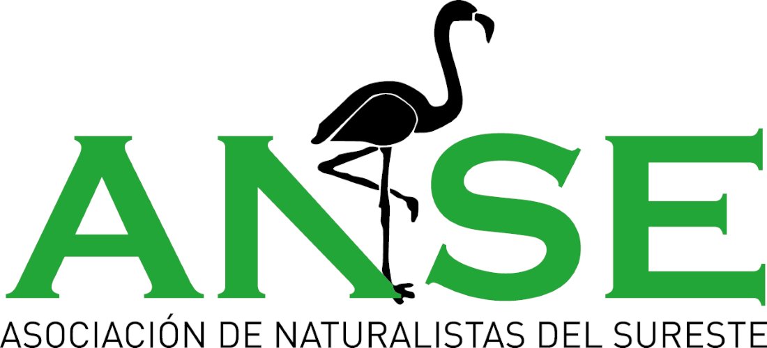 ecoticiasRED's tweet image. ANSE: 50 años luchando por la naturaleza. La Asamblea Fundacional de ANSE se celebró en Murcia, el 19 de mayo de 1973, en la antigua Caja de Ahorros del Sureste, hoy Fundación Mediterráneo, asistiendo unos 40 socios. #50aniversario #ANSE

ecoticias.com/?p=350181