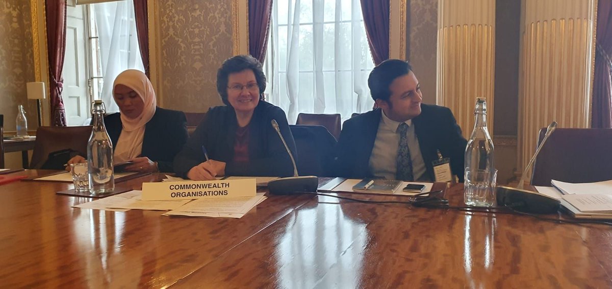 Helen Jones MBE presented proposals for a Ministerial Action Group on Employability, Enterprise and Entrepreneurship at meeting of Commonwealth Education Ministers' Action Group, as well as at Commonwealth Accelerated Development Mechanism for Education to take this forward.