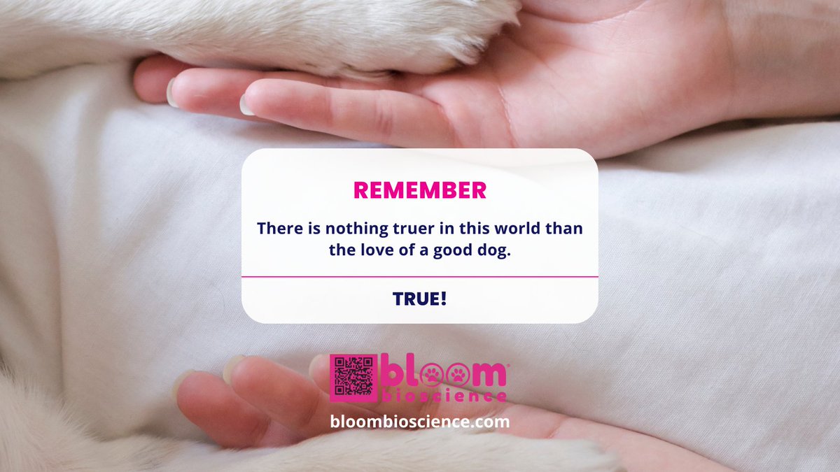 There's nothing more genuine than the love of a loyal dog. ❤️🐶'

#BloomBioscience #DogLove #UnconditionalLove #BestFriend #FurEverFriend #PetSupplements
#PetHealth #HealthyPets #NaturalPetCare #PetWellness