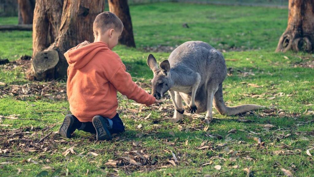 Los canguros y otros marsupiales podrían ser las formas más evolucionadas de los mamíferos
       ift.tt/j8N6m2O