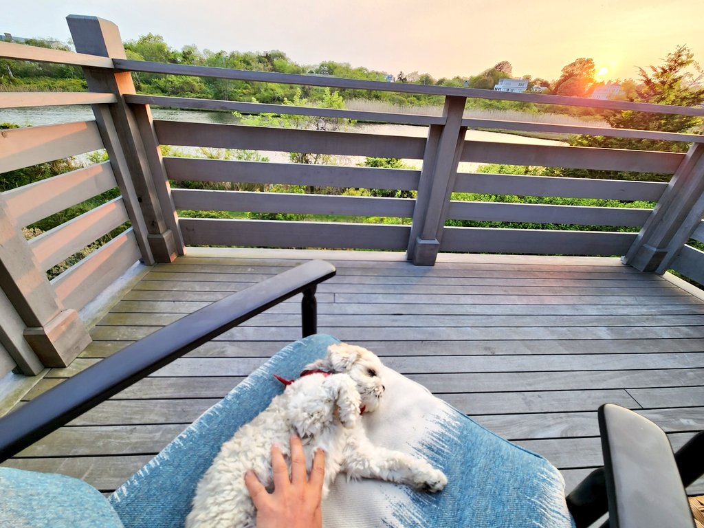 TheTarotShip's tweet photo. Taking a much needed wellness break from the city hit all the right spots... for both Ruby and me ♥️🙂🐶

Treat your mind, body and soul as both the moon and Venus are in Cancer 🙏🌅 
@WeekapaugInn #RhodeIsland #wellness https://t.co/ZmweepvU3Q