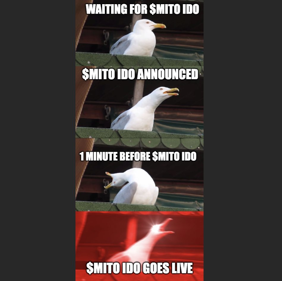 $MITO IDO public sale starts in 10 mins!💥

Get your referral code after connecting wallet
👇
ido.mitoswap.xyz

#BRC20 #Bitcoin #Ordinals
