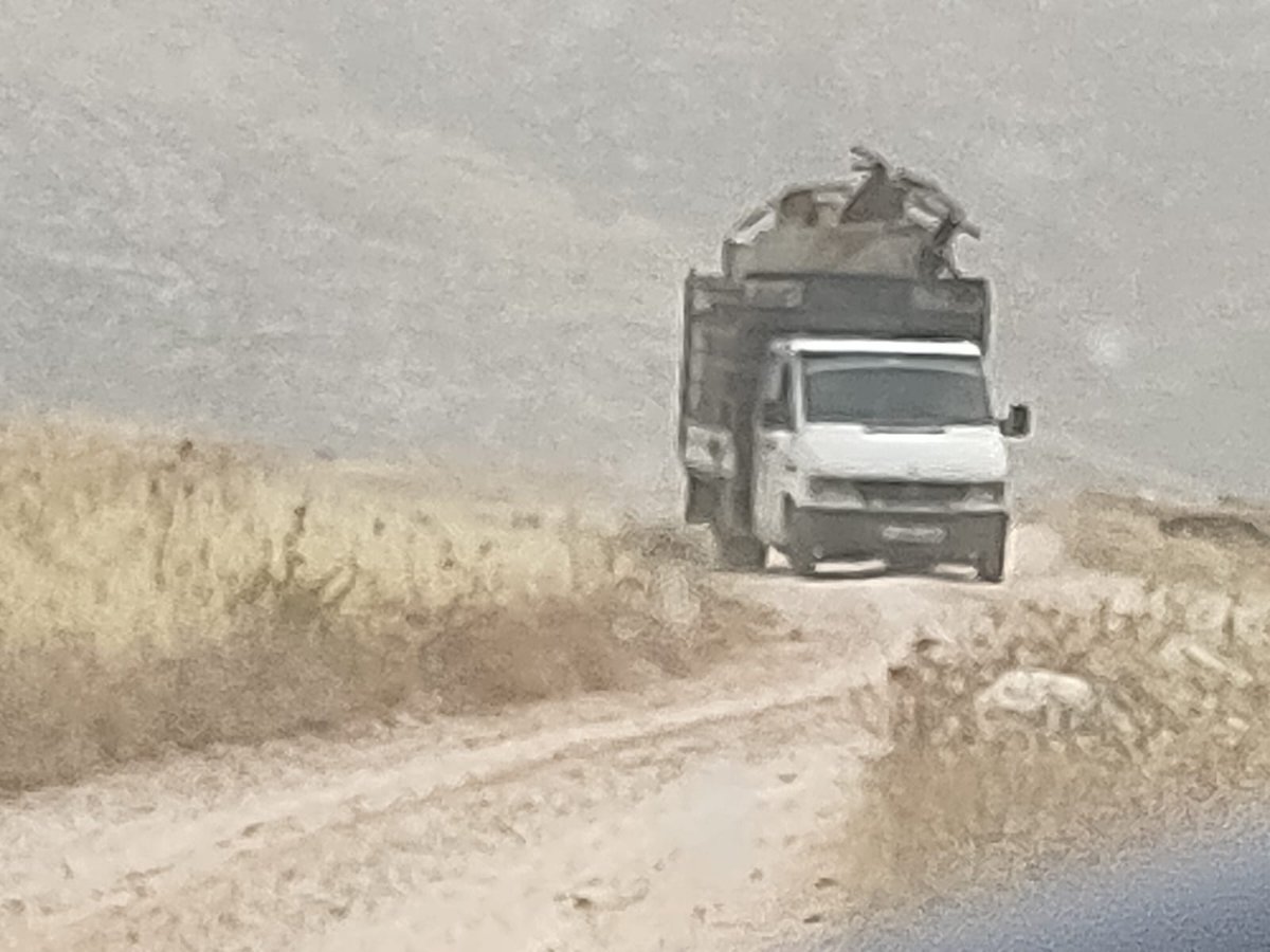 Yesh_Din's tweet image. (1/10) Yesterday, a Bedouin Palestinian family was forced to leave their home in Ein Samia due to escalating settler violence. This heartbreaking incident is not an isolated case &amp;gt;&amp;gt;