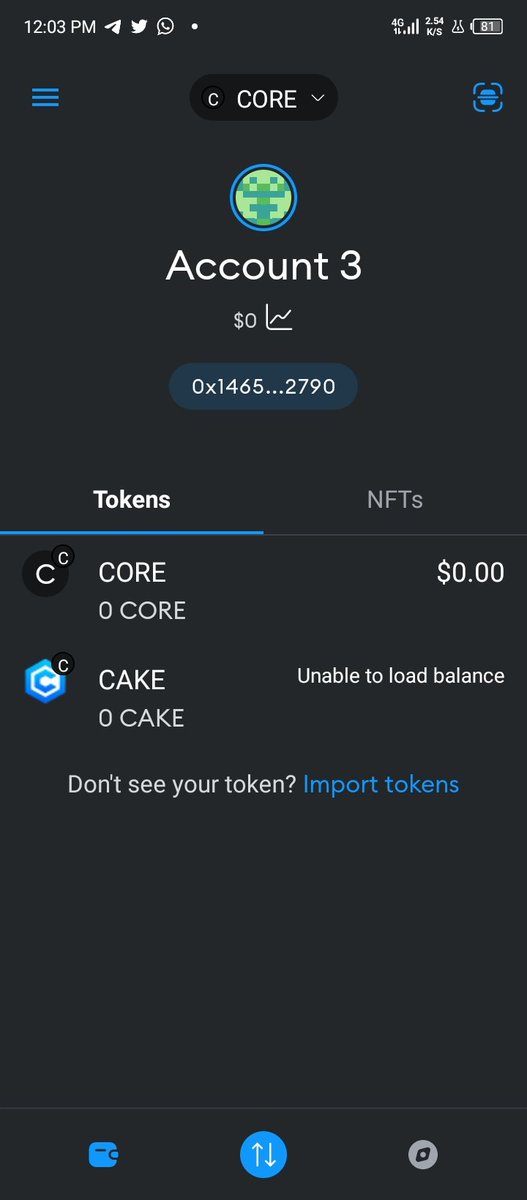 @cakecore_io Unable to load balance, can't mint,stake or delegate; why?