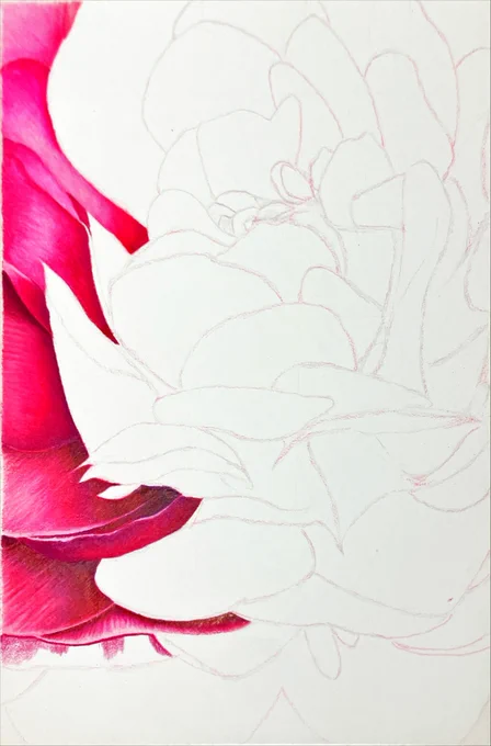 今日からモリモリ描く