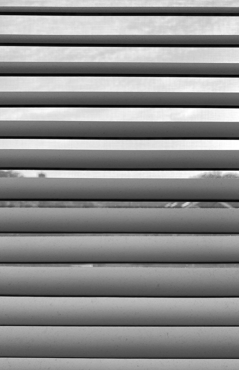 captureapp_xyz's tweet photo. #Photographers use #lines creatively to compose their images and evoke specific moods or #emotions .

See how @koenvandamme_be masters it with simple lines and frames. 

Wait…have you found the lil creature with fury paw?🐾
Check it out in Koen’s Capture to find the answer!😎 https://t.co/XeZyvf8jKw