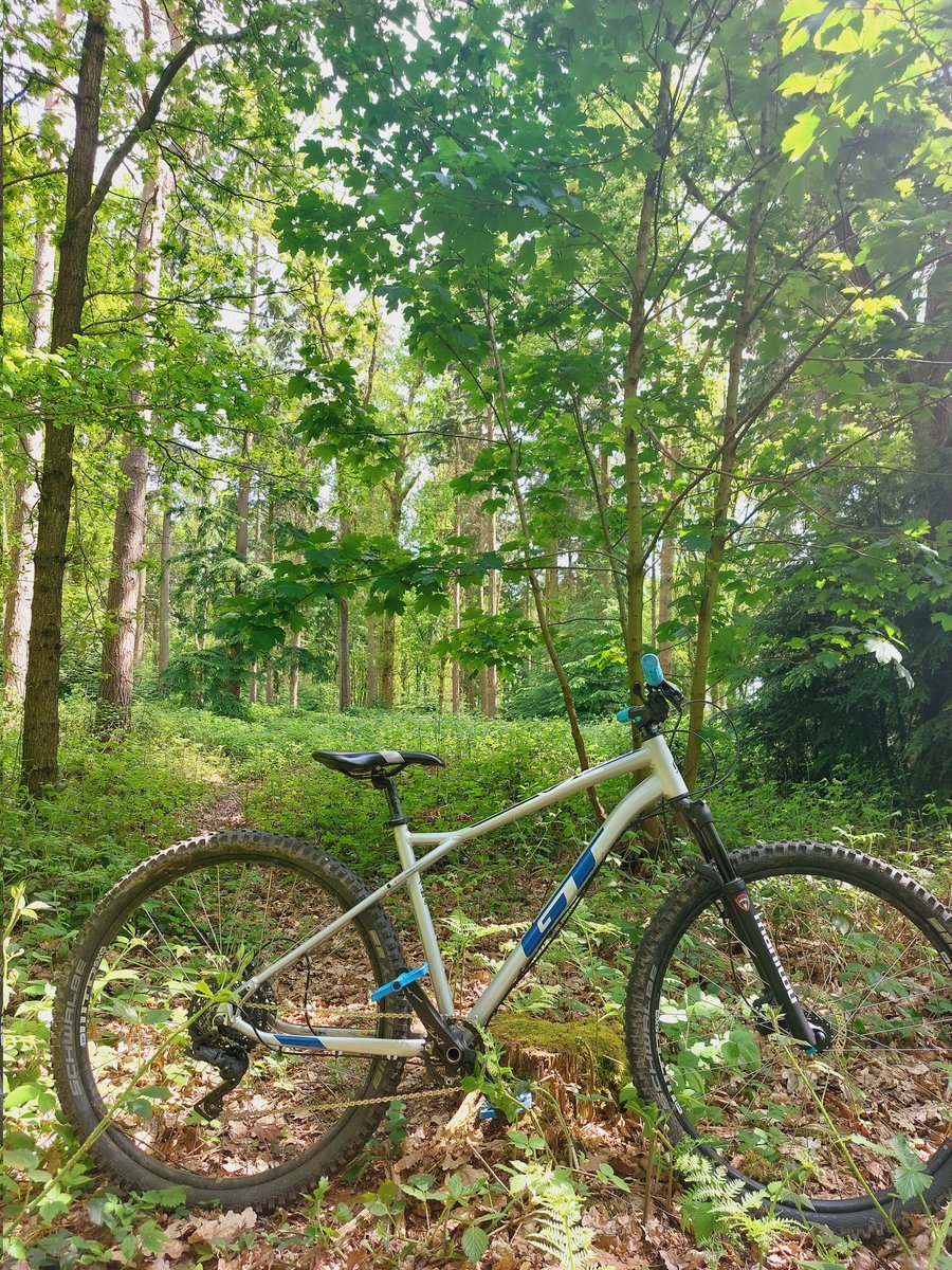 bikesandbuilds's tweet photo. This is not where I am...I am at work...this is where I should be!!!

#mtb #mtbuk #Mountainbike #mountainbikersareawesome #adventure #outdoors #gooutdoors https://t.co/lDvdomARDz