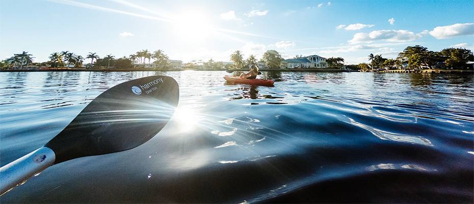 Paddelnd vorbei an Mega-Yachten und rund um eine hundertjährige Plantage  - ift.tt/4I8zgcX