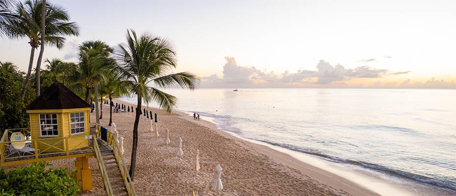 Mit Schildkröten schwimmen und alten Rum trinken  - ift.tt/5tsIadL