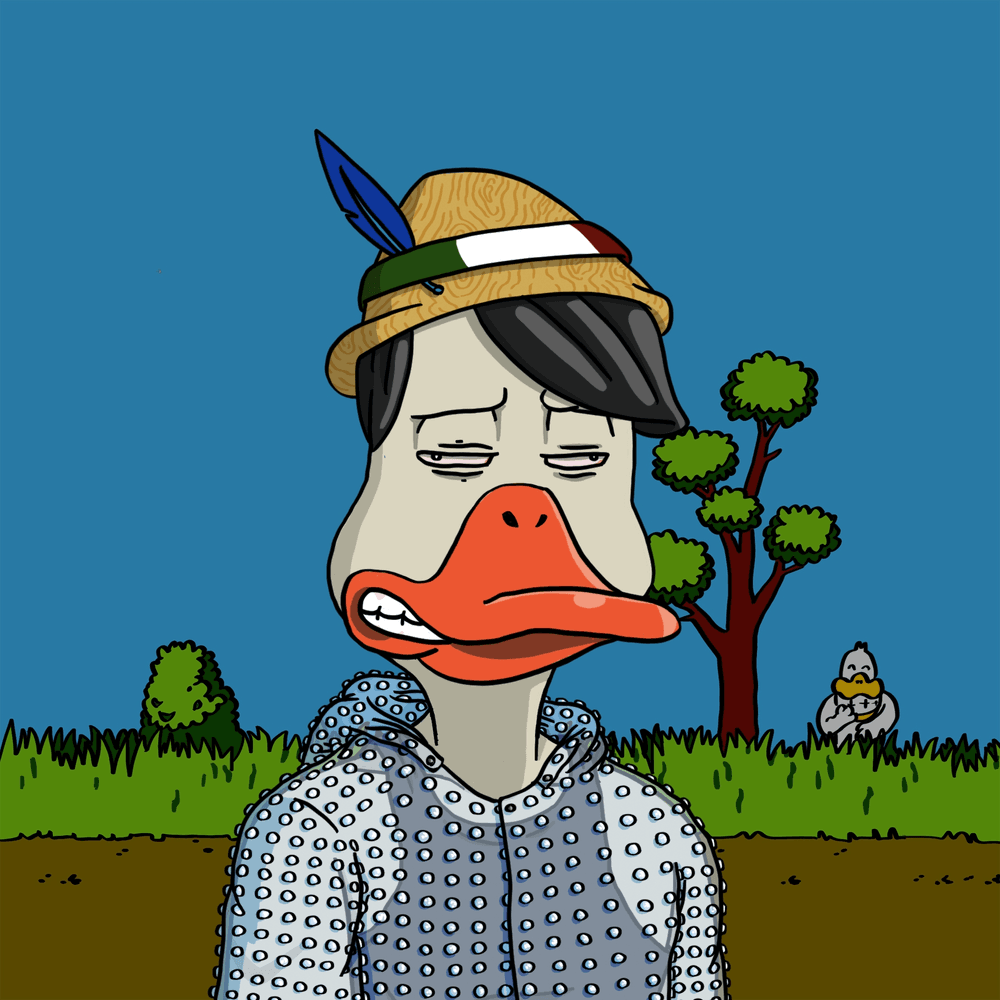 I've been shopping on the @NoncoDucks marketplace! LDG!! #QUACK #NonconformistDucks #DucksFlyTogether #DucksUnited #HellDucks #HellDucksTakeover #OpenSea #Duckseason