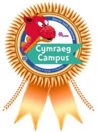 danielleeas's tweet photo. Rydyn ni’n hapus iawn i dderbyn y wobr aur heddiw! We are very happy to recieve the gold award today! Diolch i @CSCSiarterIaith! @CSC_Cymraeg @cwmlai https://t.co/nlo96clyRb