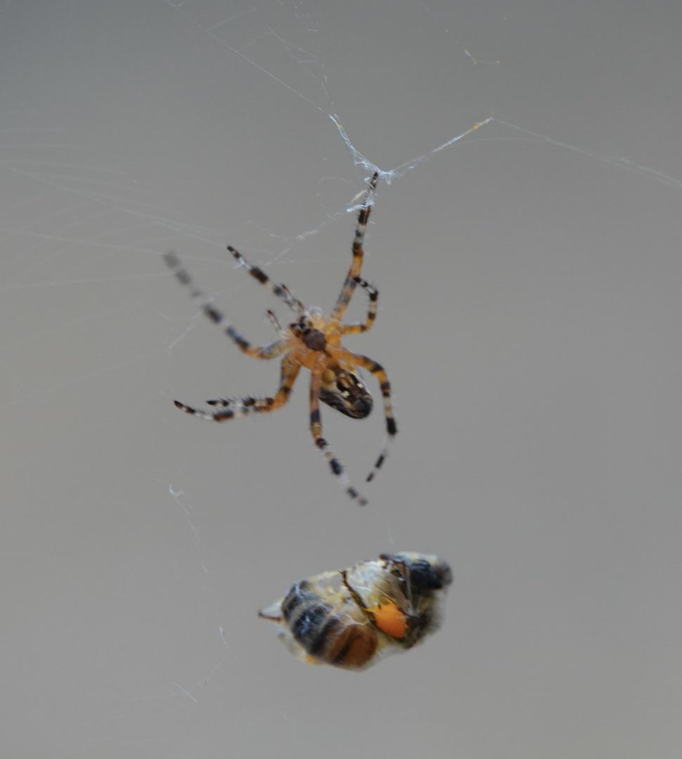 Nature and Science Zone (@naturezone04) on Twitter photo 