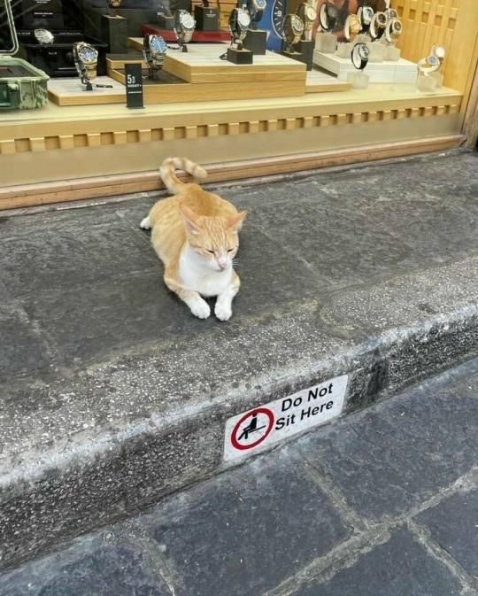 nixcraft's tweet photo. i do what i want. what are you going to do? https://t.co/lRaT41Yrqt