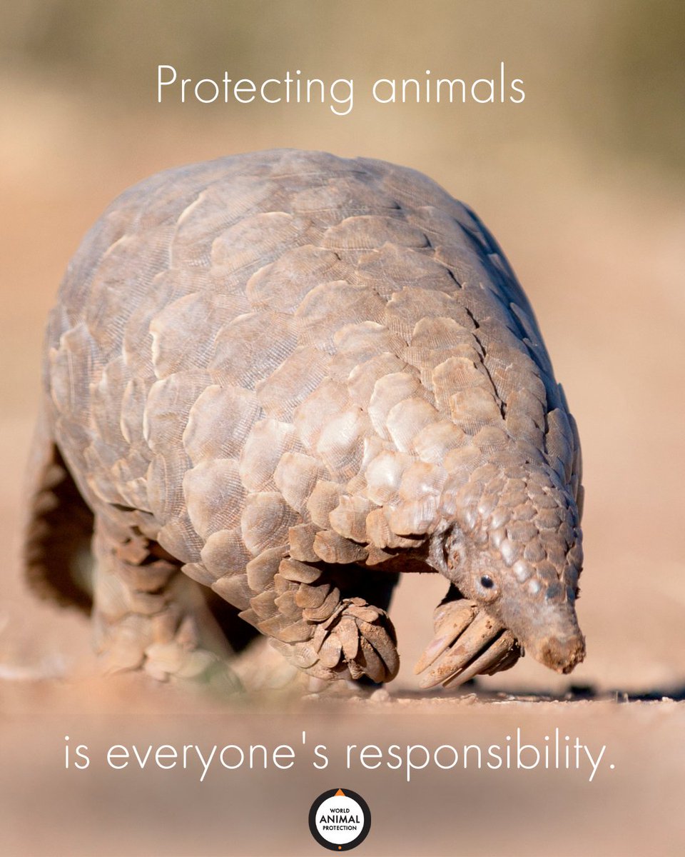 Protecting animals is everyone's responsibility.