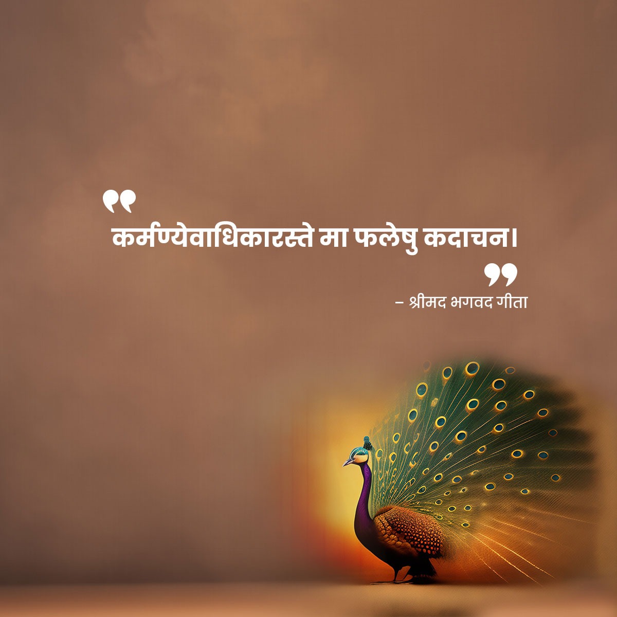 Dr. Omkar Rai tweet media