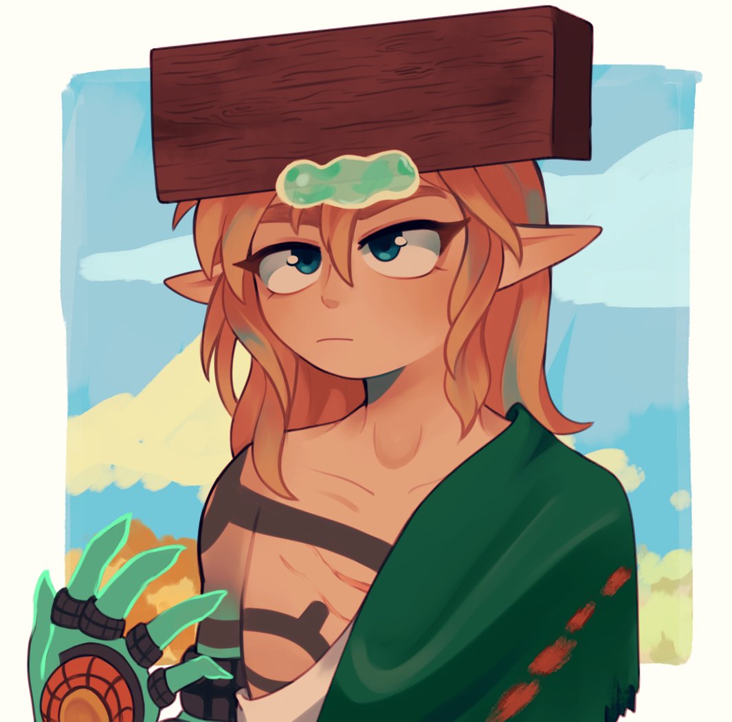 ♡ totk link icon in 2023  Legend of zelda, Legend of zelda memes