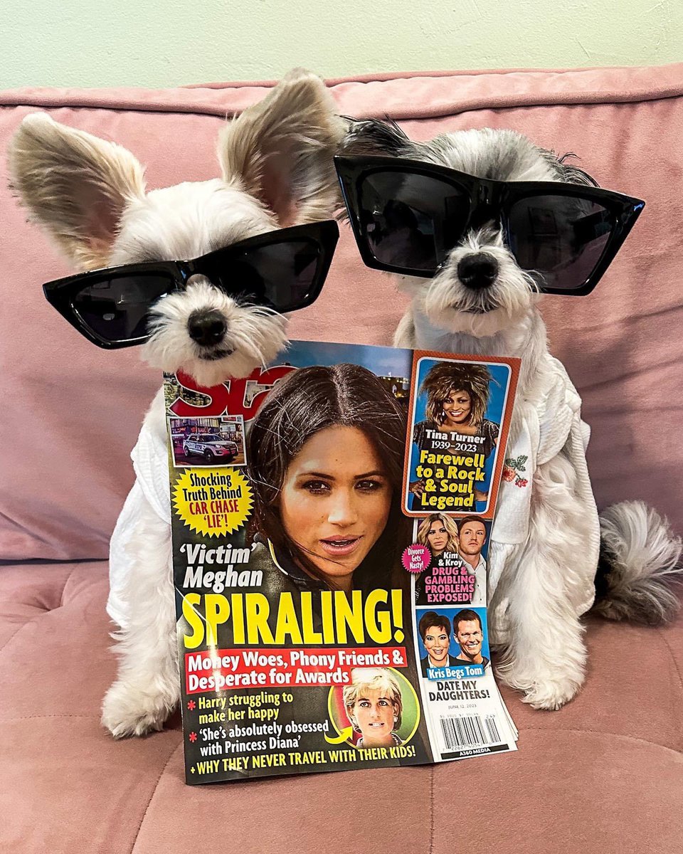 TINKERBELLEadog's tweet image. “The PUParazzi caught us with @machinegunkelly and @travisbarker and we were featured in @starmagazine ! ” Tinkerbelle and Belle 🐶📸⭐️ 
#dogsofnyc #famousdogs #doginfluencers #pupfluencer #dogmodels #dogsofnewyork #newyorkcitydogs #starmagazine #popculture #machinegunkelly