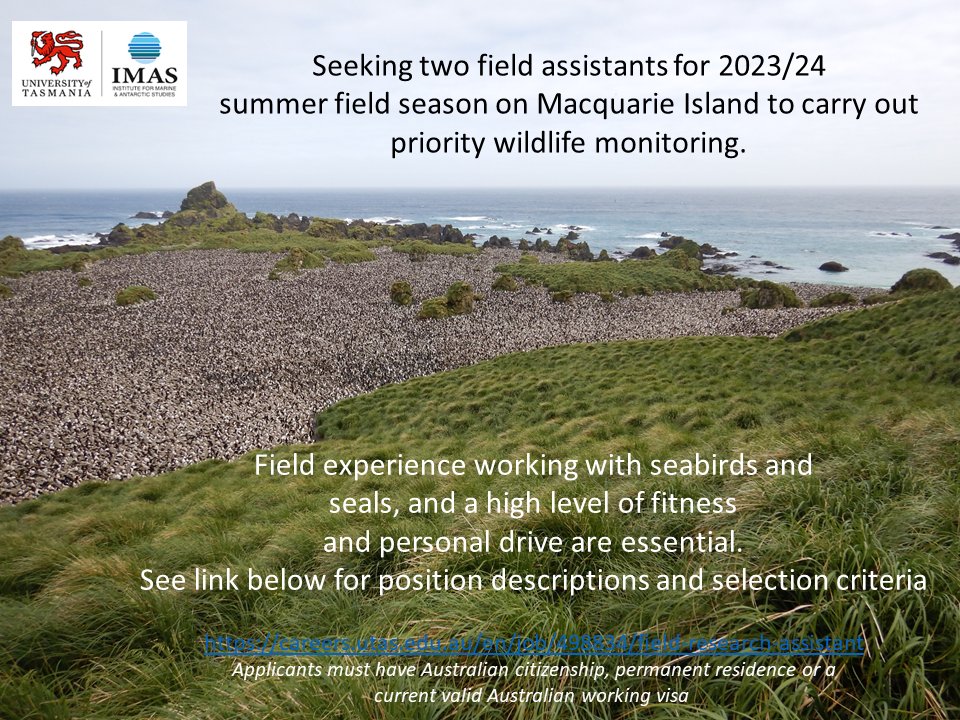 If you've always wanted to get out in the field on a remote island & you're passionate about protecting priority wildlife populations, this could be your time 🦭 We have 2 field #ResearchAssistant positions going on #macquarieisland! Details and to apply: careers.utas.edu.au/en/job/498834/…