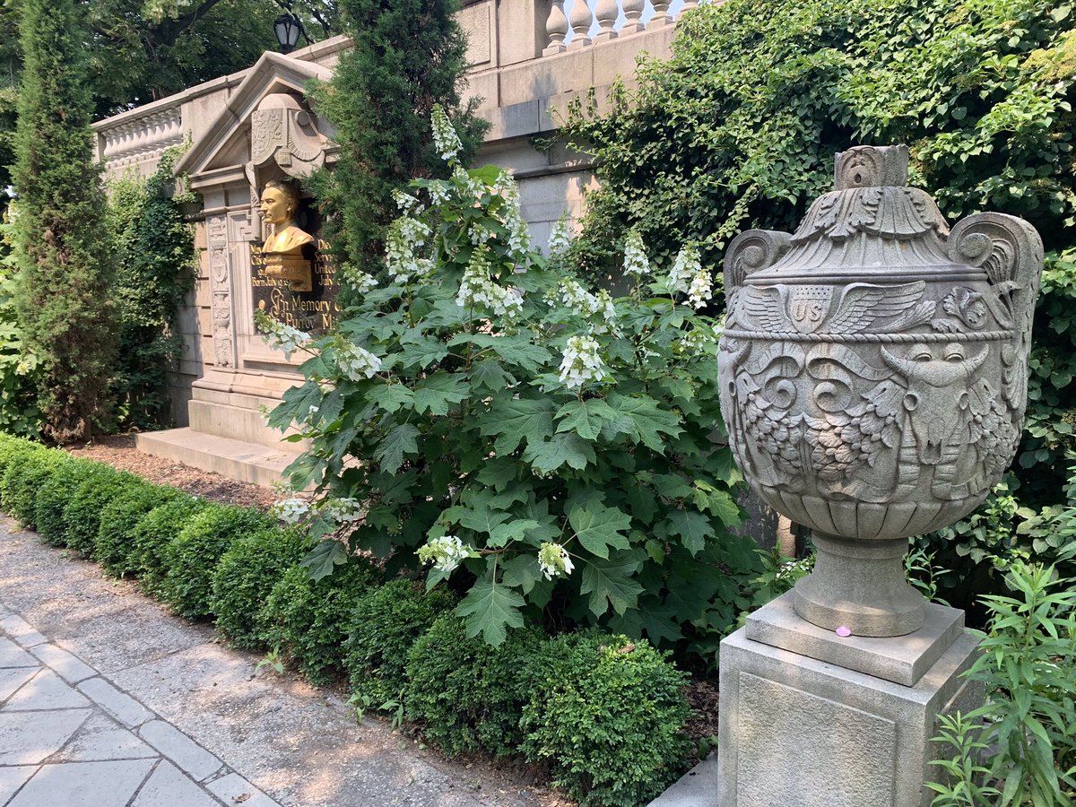 sw_rox's tweet photo. We couldn’t very well make a trip all the way to New York City without bringing a rock to drop. Our recent fun with the Star Wars Rebels gang at ICCC provided an appropriate Zeb theme. So a big ‘KARABAST!’ it is at East side Central Park entrance way near the reservoir 😃 #NYC https://t.co/JnivBGhsDh