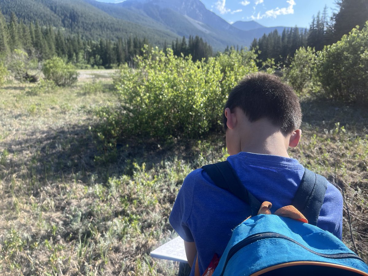 Panorama Hills School CBE tweet media