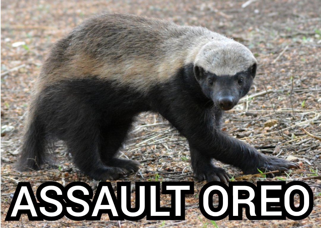 IkeB247's tweet image. 