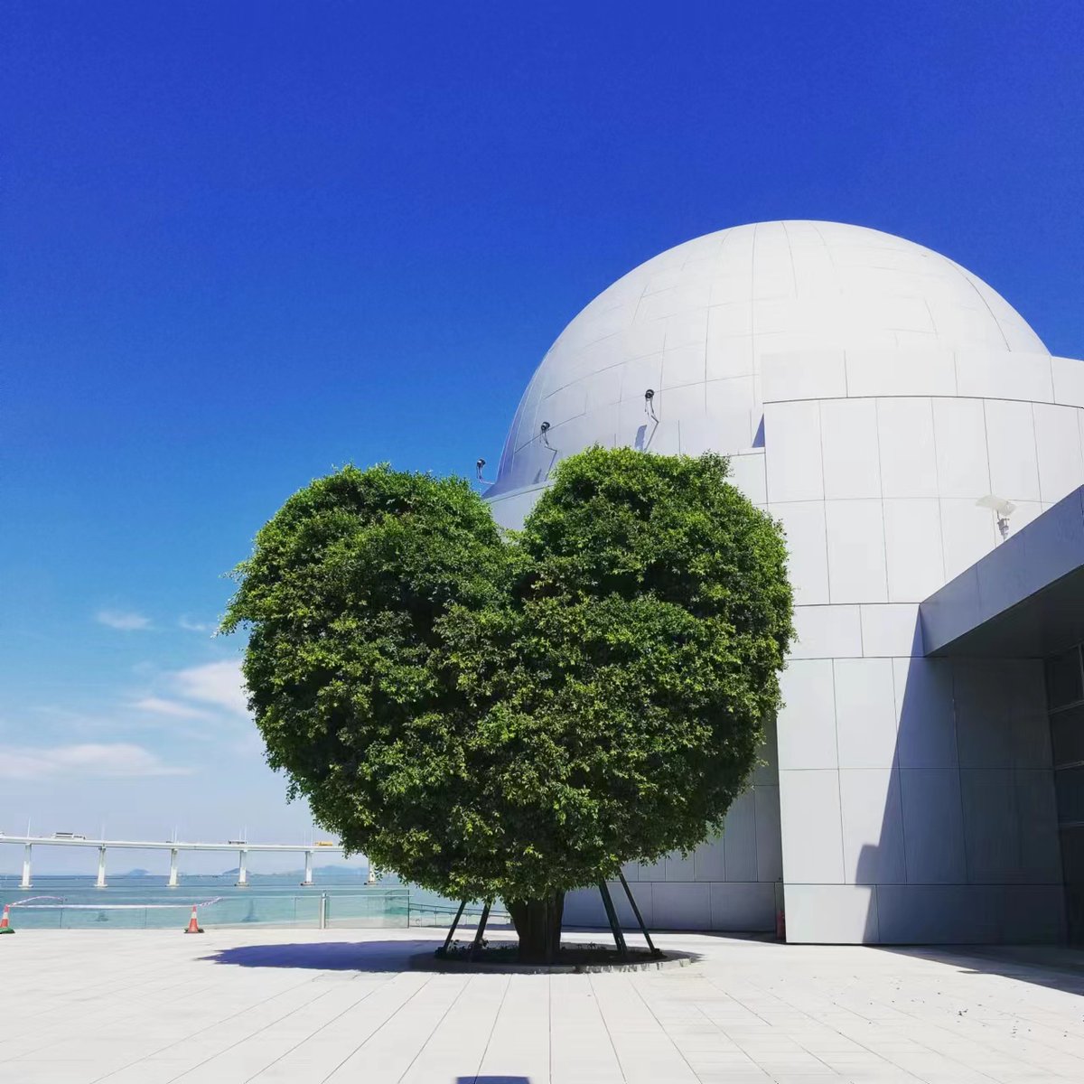 RaspberryWorks1's tweet photo. Heart shaped tree at Macau Science Center
#travel #photography #travelphotography #snapshot #Macau #MacauScienceCenter https://t.co/p47tn8kDKY