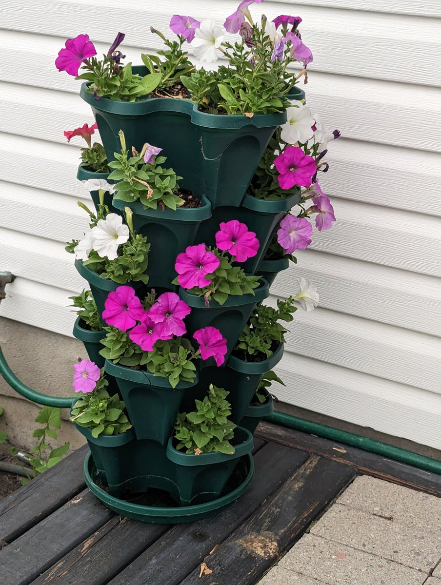 Flower tower on my front porch.