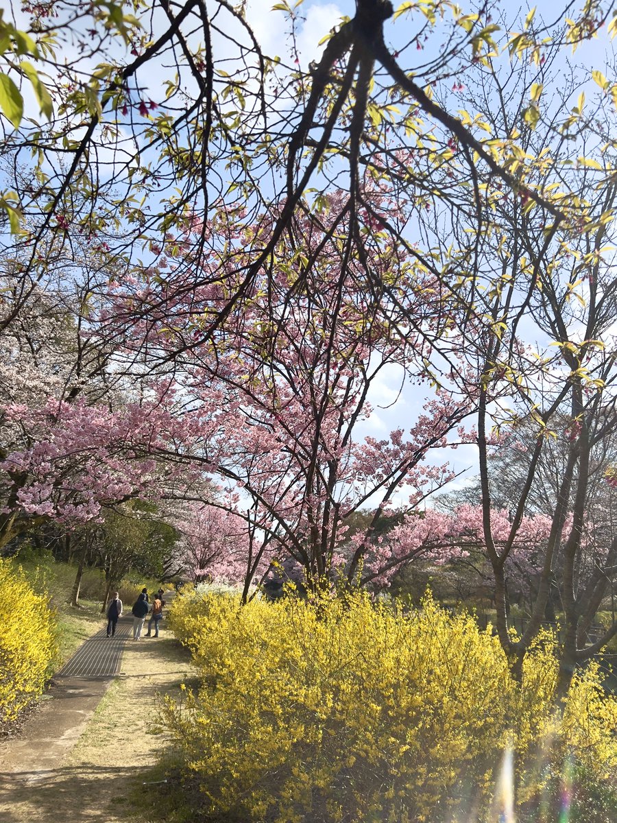 This photo was taken during a walk😁

#japan #tokyo #walking #walk #park #japantravel #travel #東京　#japantrip #landscape #photo #trip #view #nature
#photographer #beautiful #photography #photooftheday #photogram #tokyowalking