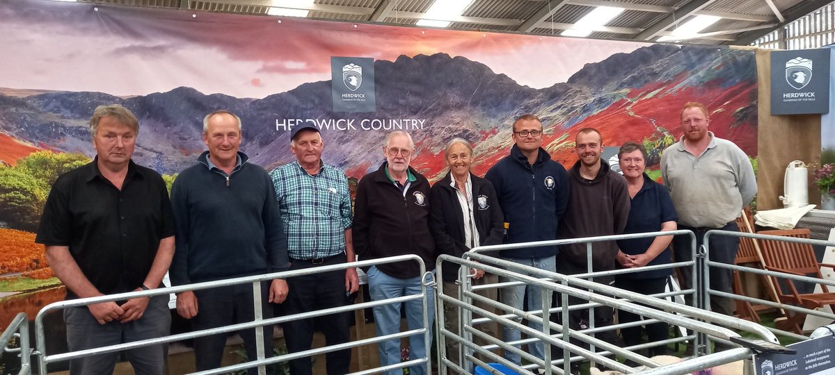 Getting the Herdwick display ready for #NSA #northsheep