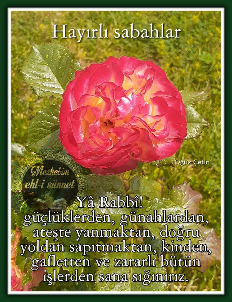 mezhebim ehl-i sünnet (@mehlisunnet) on Twitter photo 
